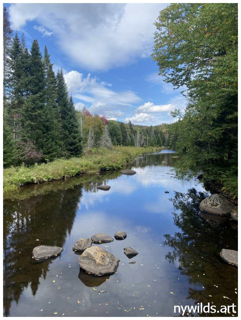 Looking upstream from the suspension bridge over the Sacandaga River.