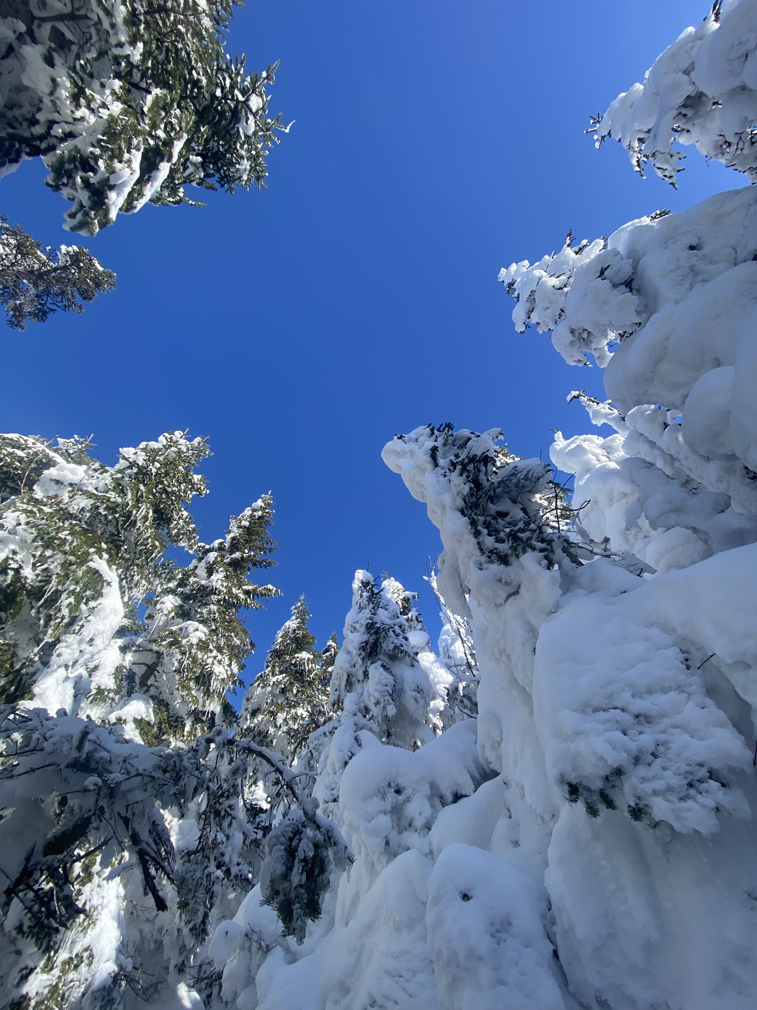 Blue Mountain