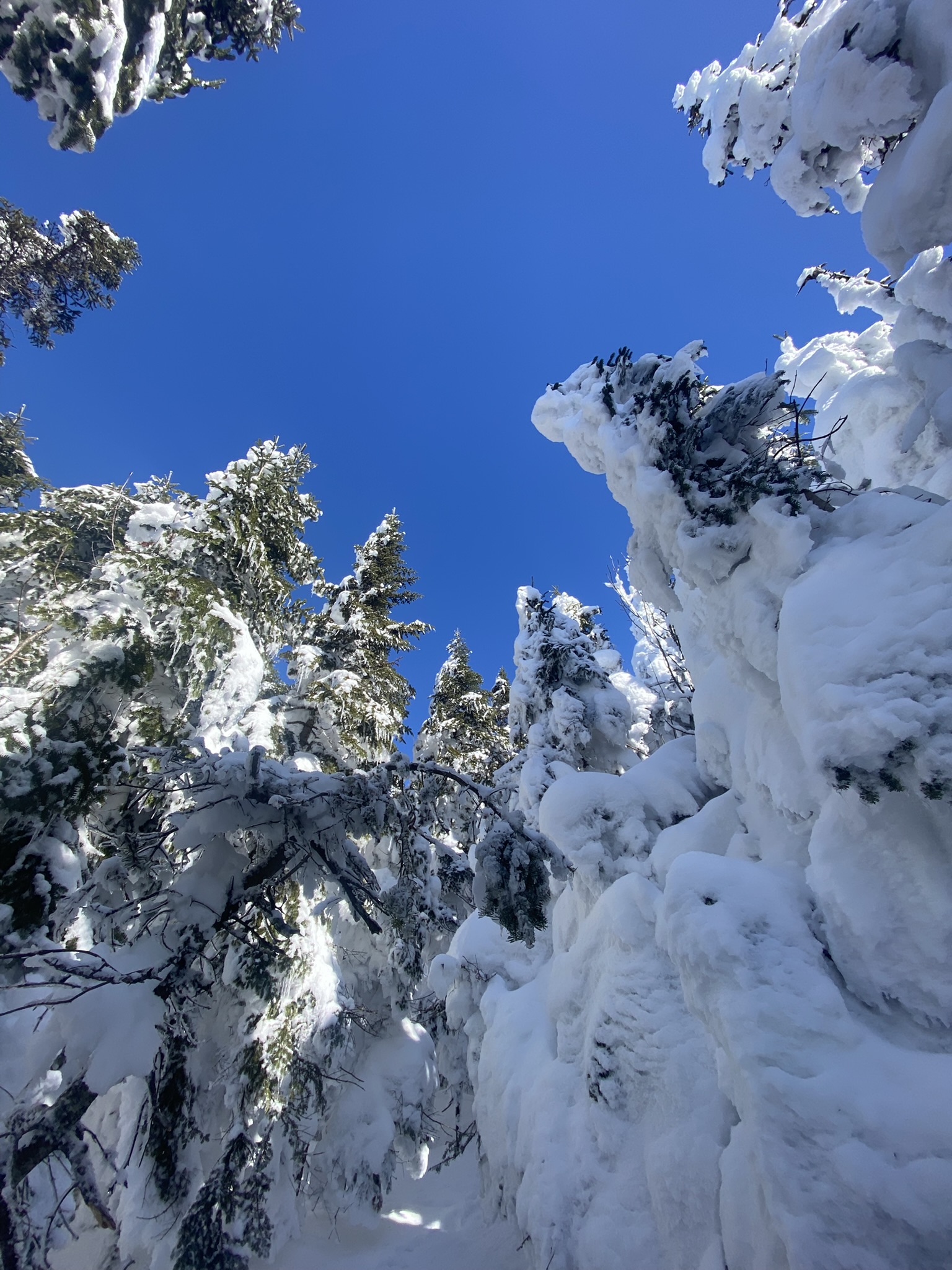 Blue Mountain