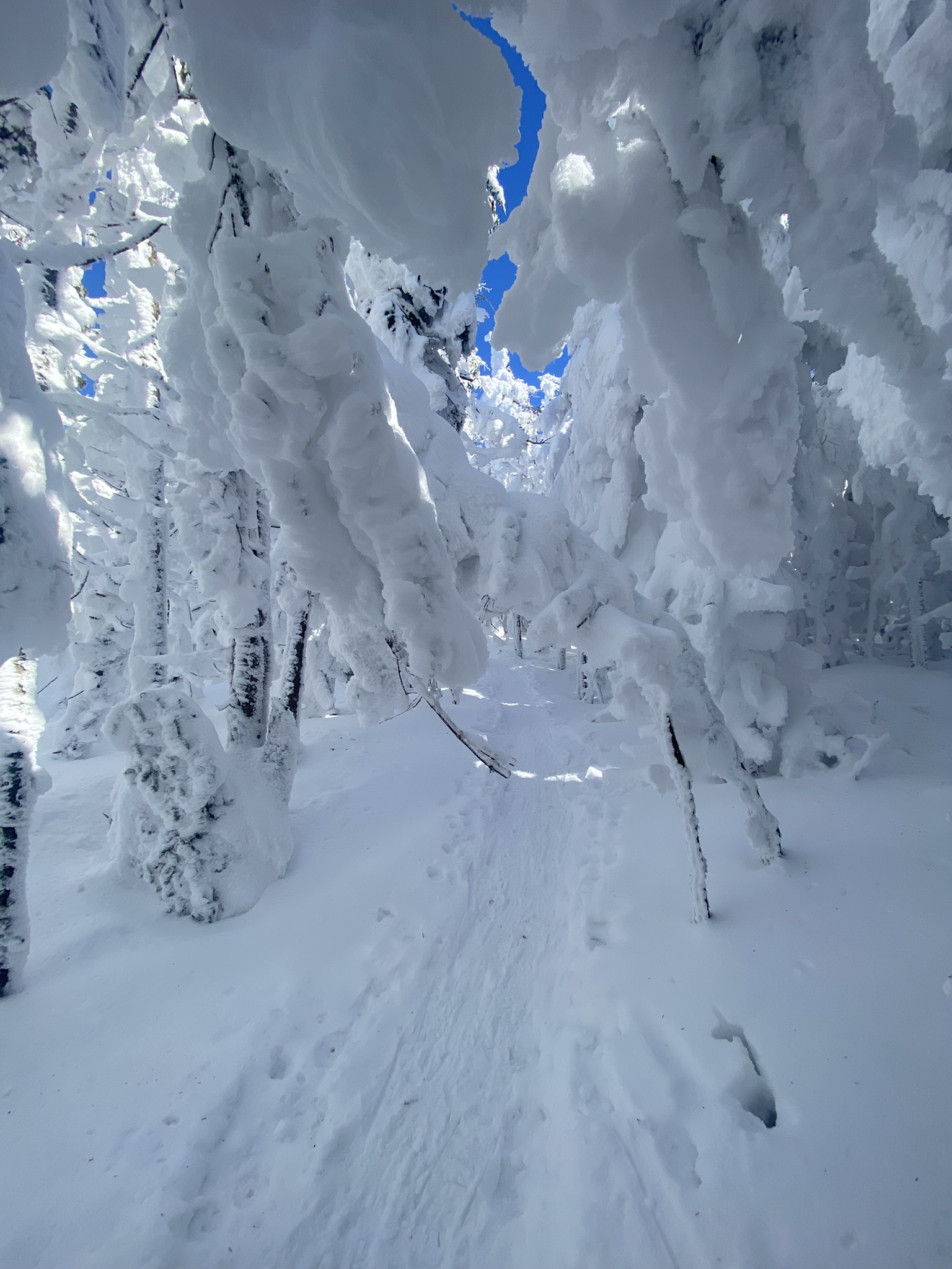 Blue Mountain