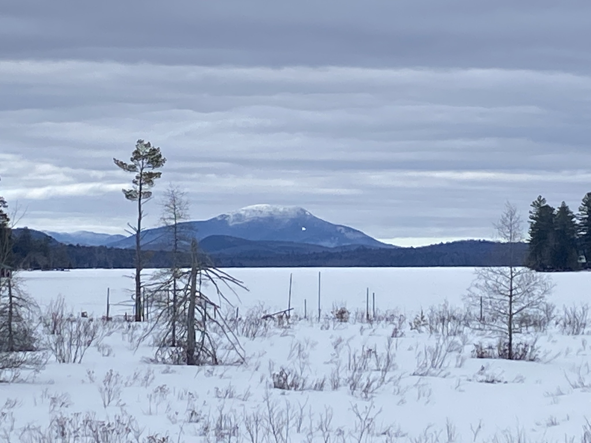 Blue Mountain